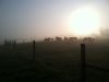 West Wind Farm
