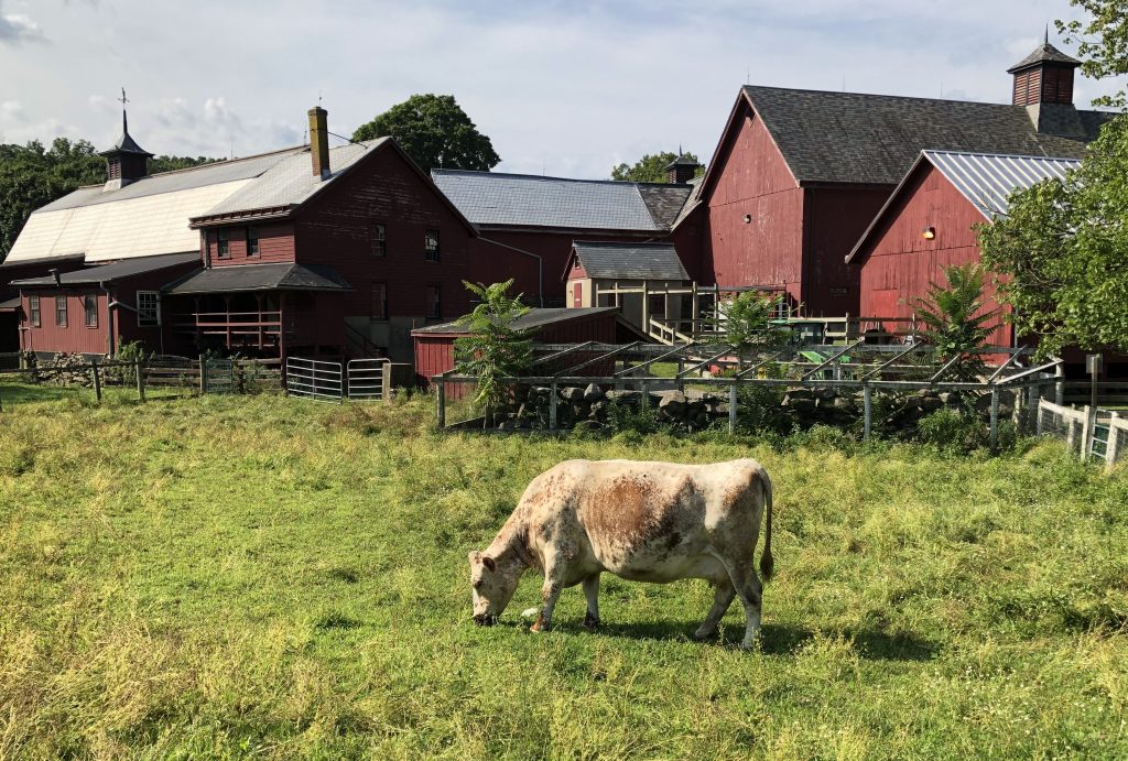 Council Awarded Climate Resilient Farming Grant Watershed