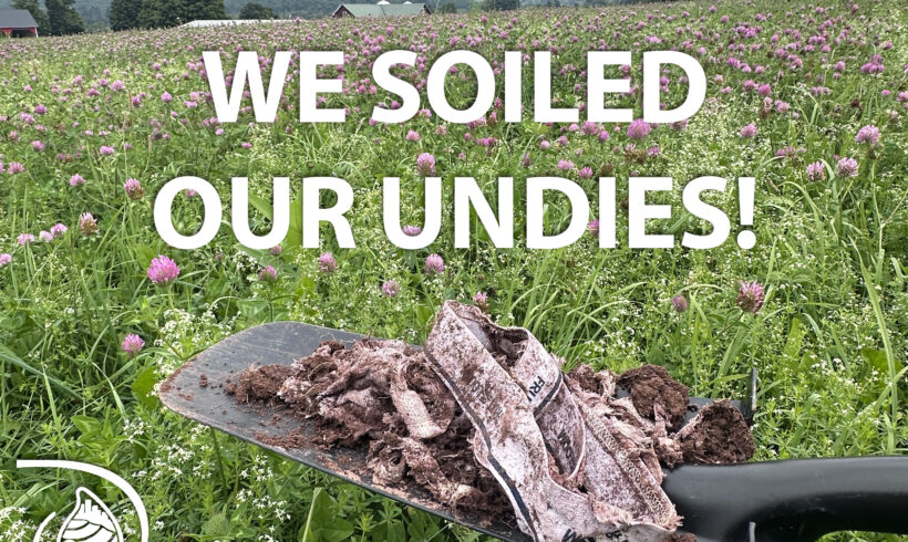 Soil Your Undies Challenge