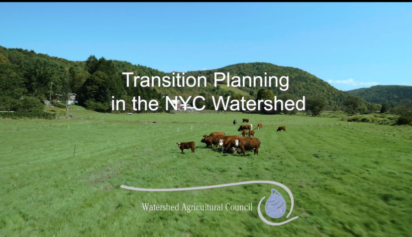 Transition Planning in the NYC Watershed