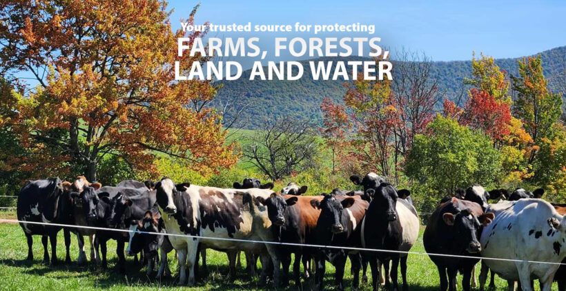 October 2025 News October 2025 News